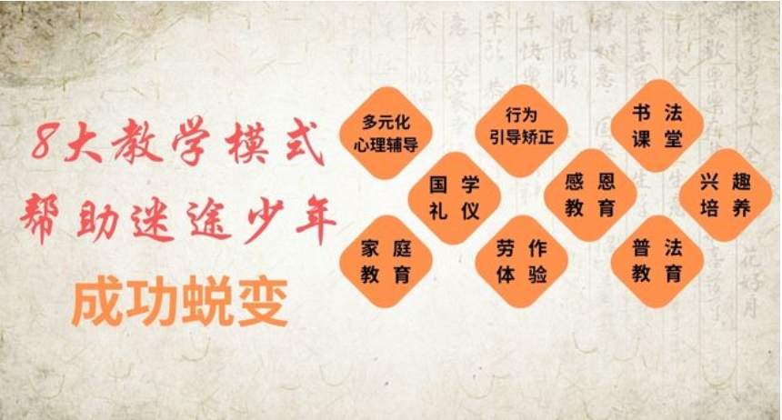 名人的校園叛逆真相：揭秘背后的原因與故事！